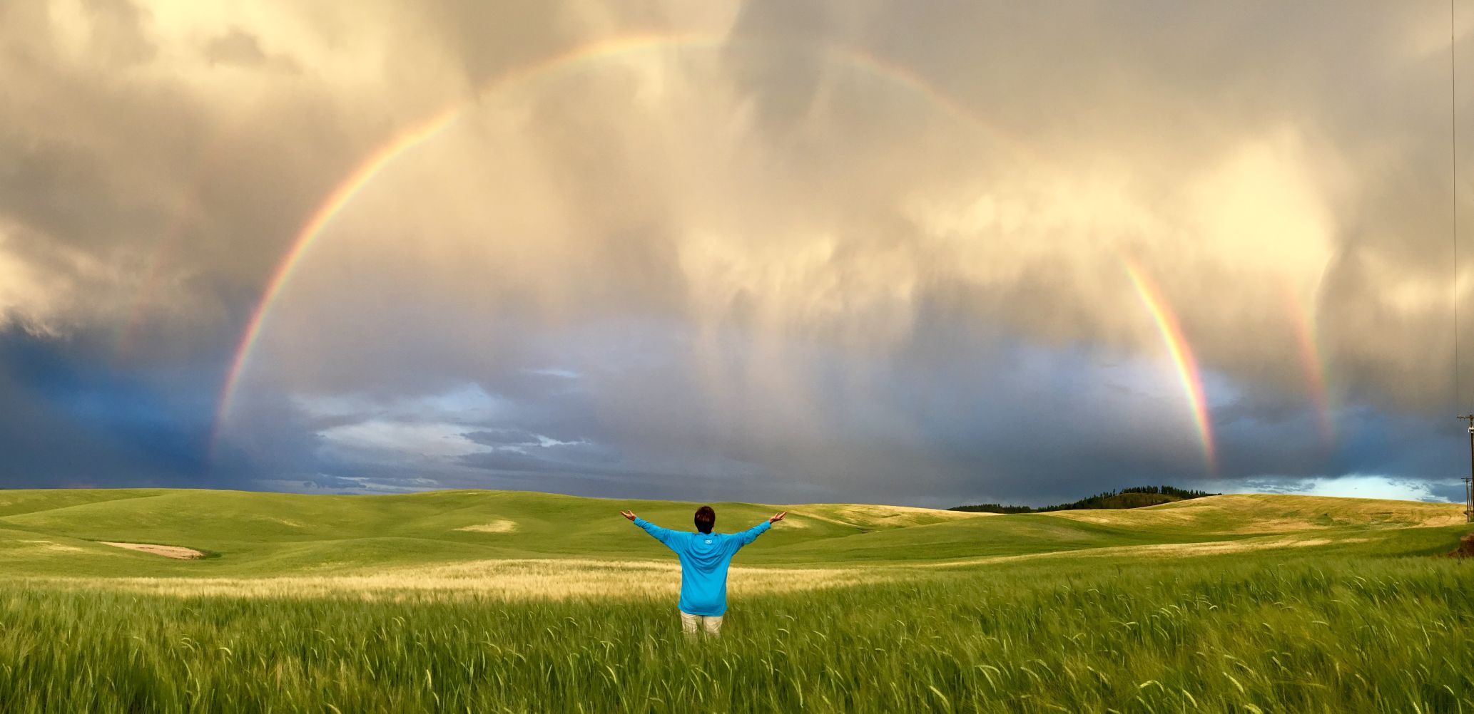 Rainbow Glory